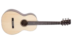 Recording King G6 Series Solid Top Single 0