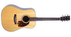 Recording King Tonewood Reserve All Solid Dreadnought (Rosewood)