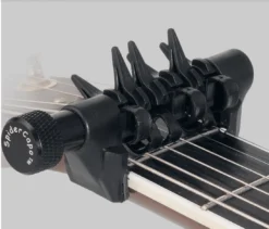The Spider Capo Standard