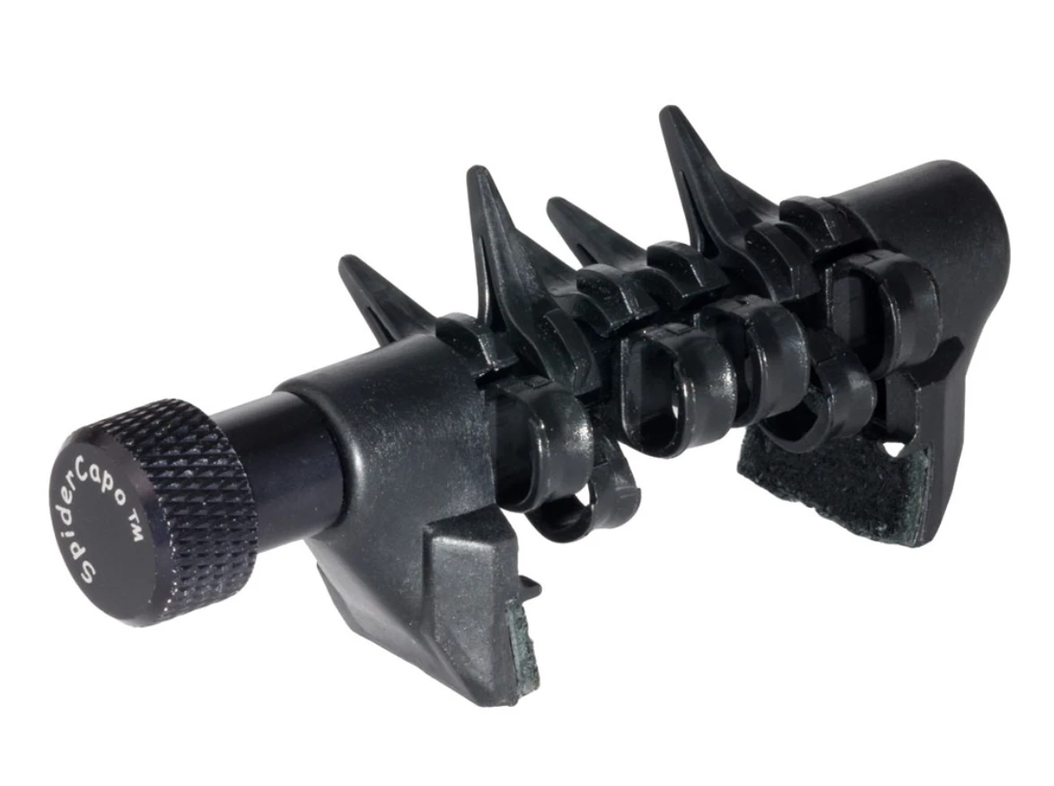 The Spider Capo Standard 2 The Spider Capo Standard - Image 2