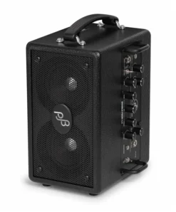 Phil Jones Bass Double 4 Plus (BG-80) Pro Mini Practice Bass Amp -Guitar Music Store pjb bg 80 blk 03